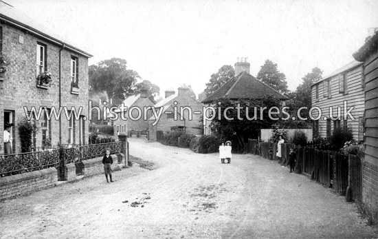 The Village, Roydon, Essex. c.1908